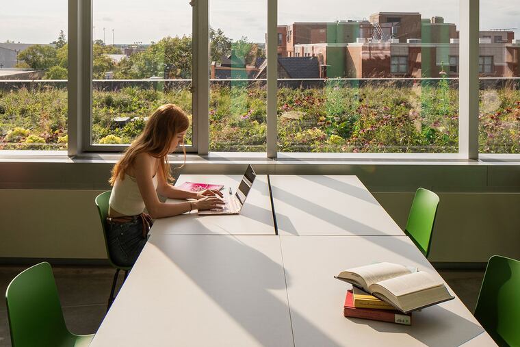 Estudiante en un espacio de estudio y reflexión